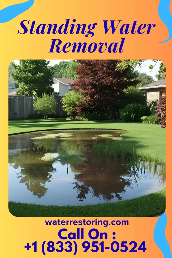 Standing Water Removal in Highlands, CA